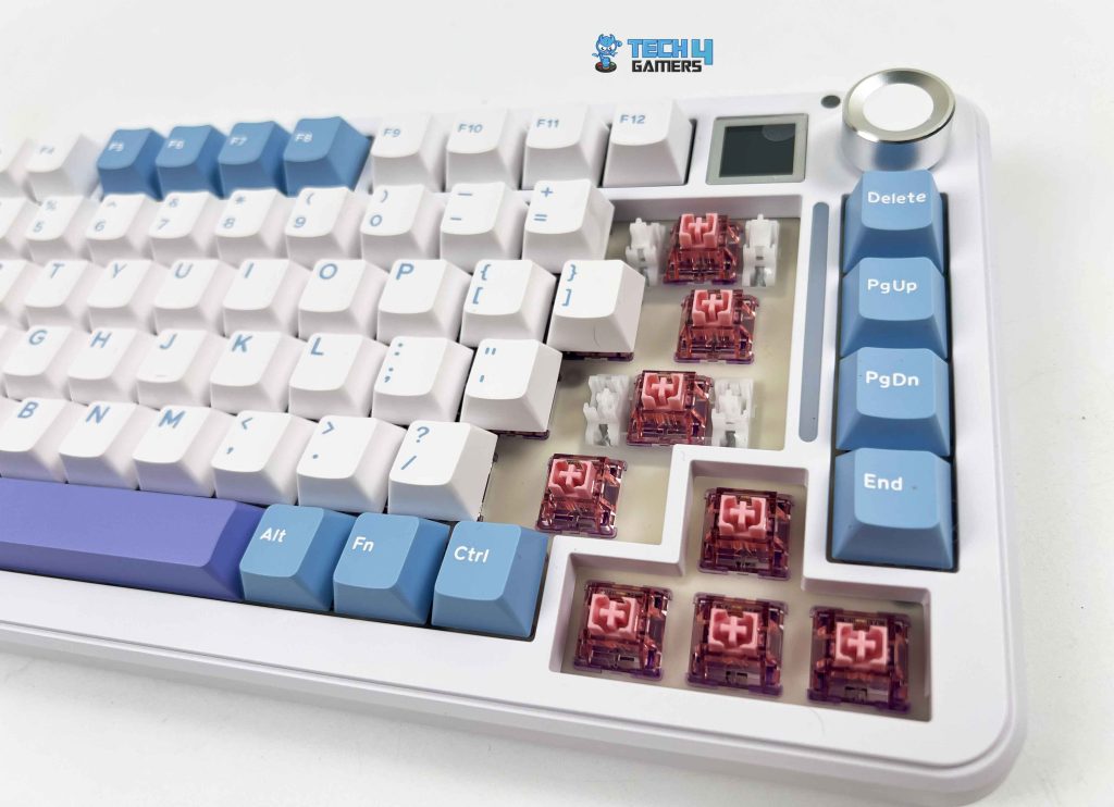 Switches (Image by T4G)