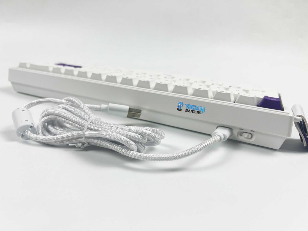 Type-C Cable