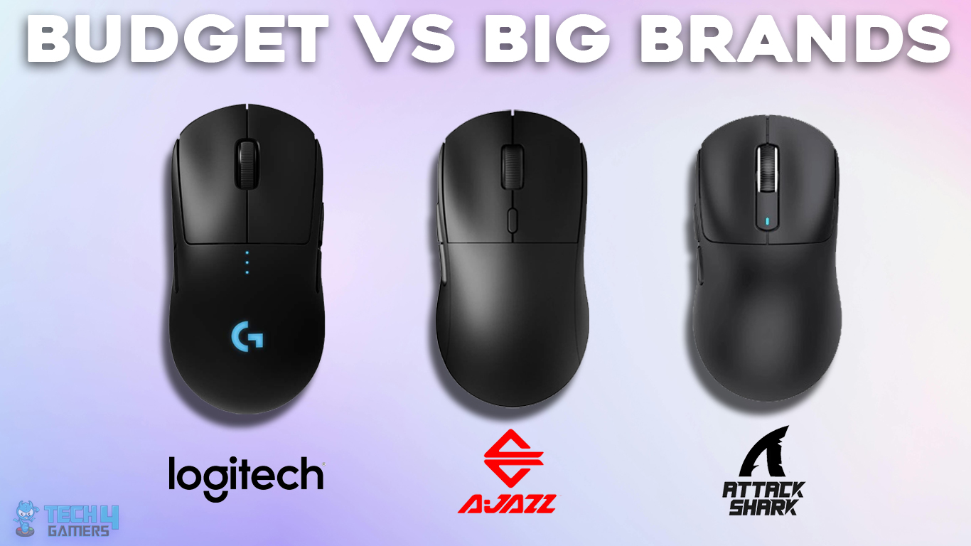 Should You Get A Mouse From Budget Giants Or From Big Brands