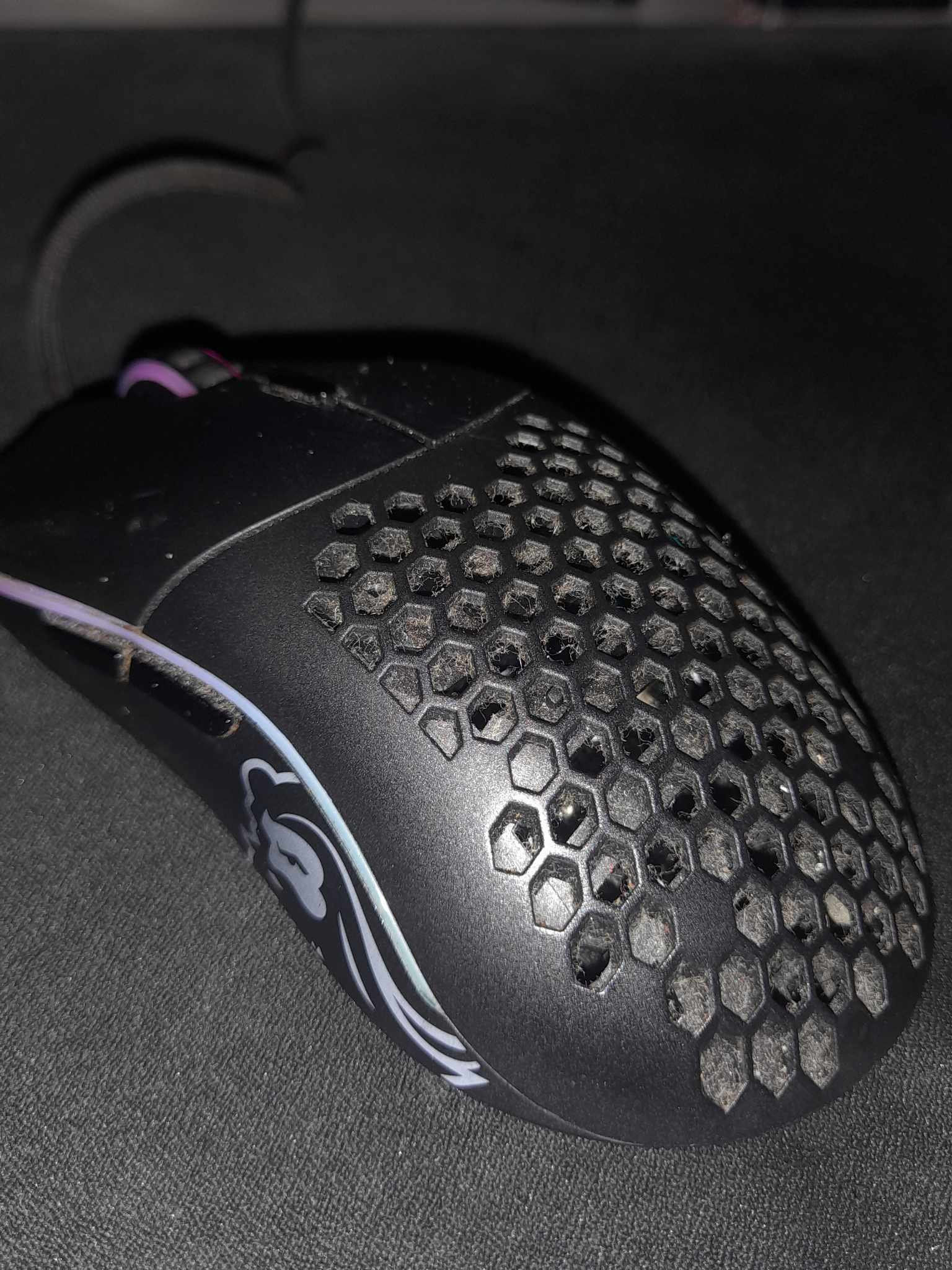 dusty mouse