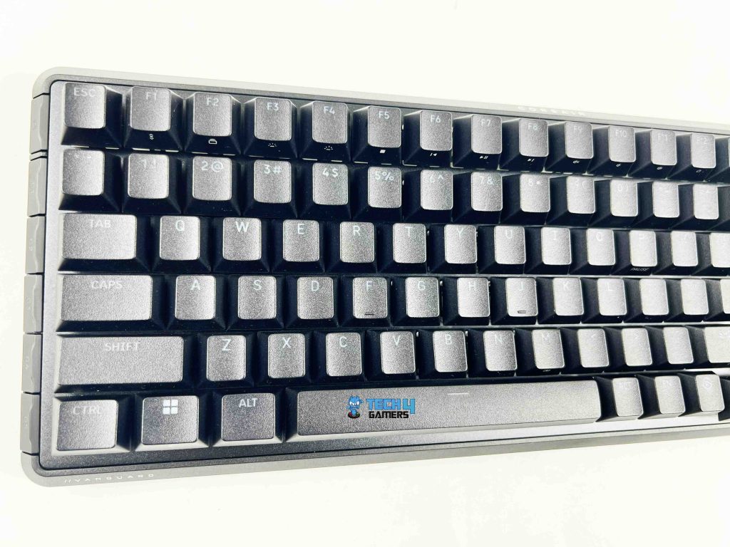 Layout
