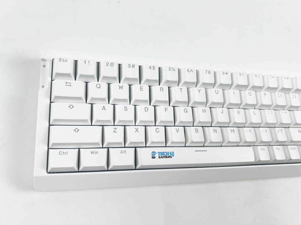 Layout