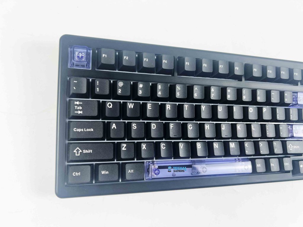 Layout