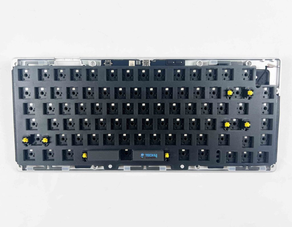 Layout