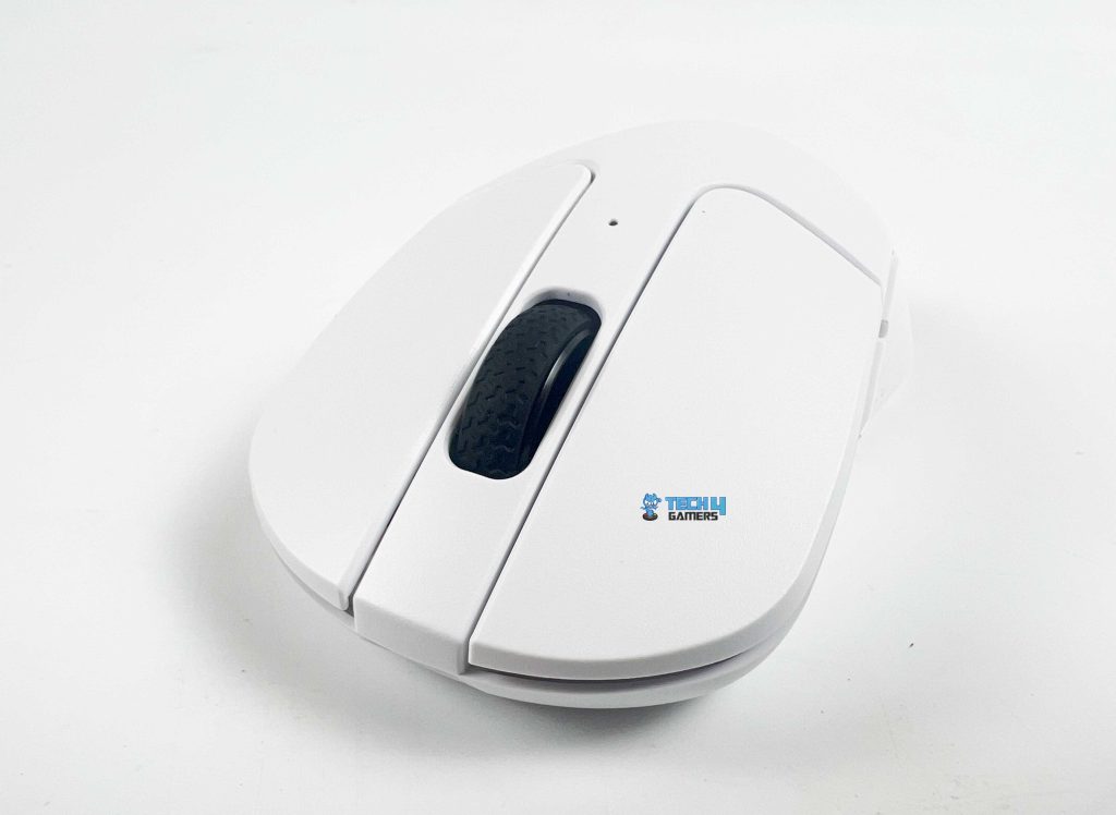 Scroll Wheel