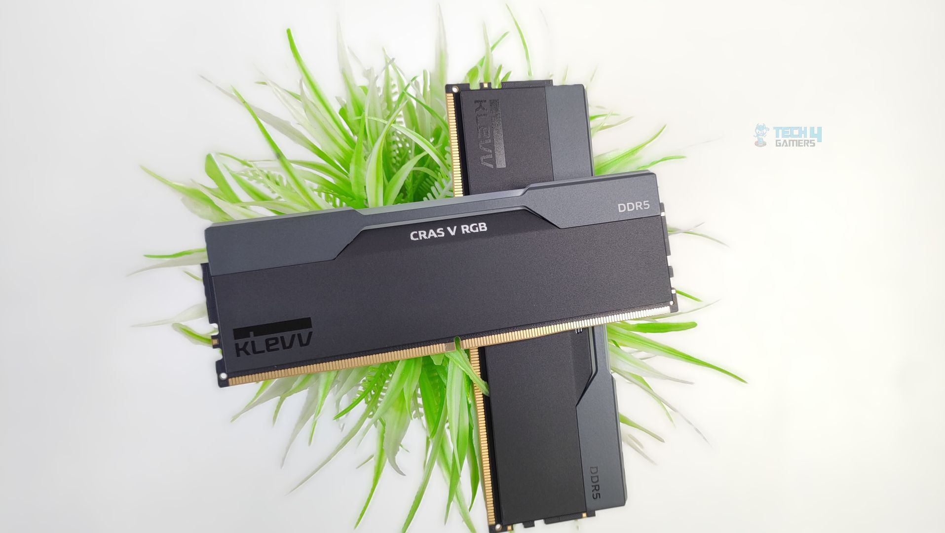KLEVV CRAS V RGB 32GB (16x2) DDR5-6000 CL28