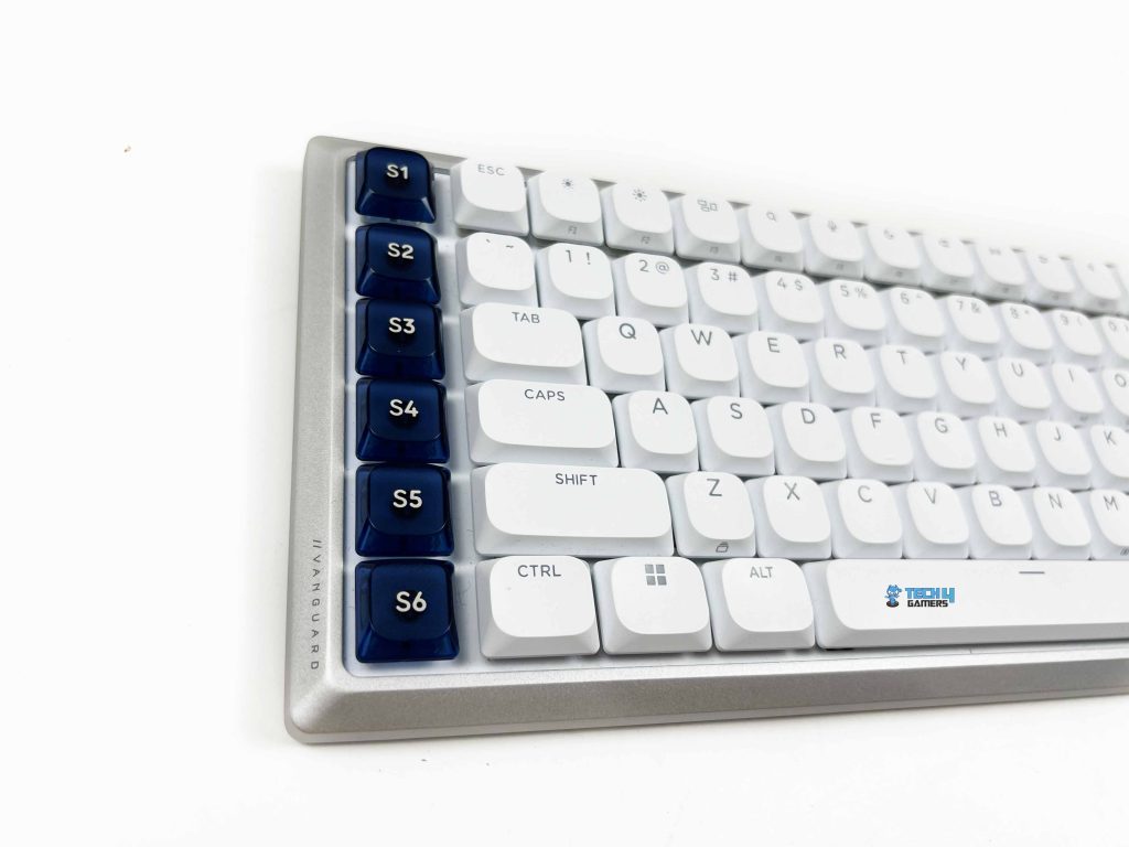 Layout