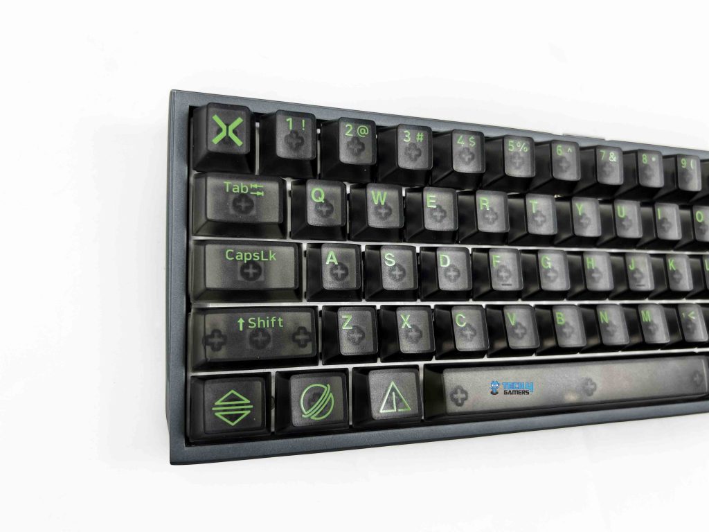 Layout