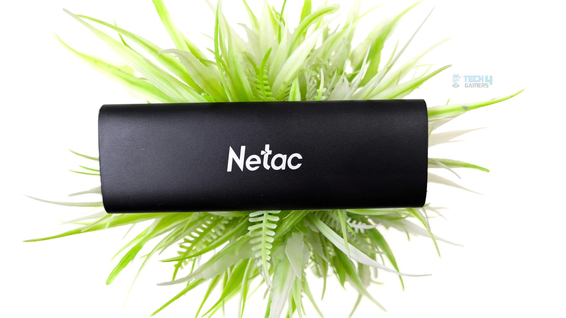 Netac WH61S M.2 Enclosure Review: Tool-Less Design Meets 10Gbps Limits Netac WH61S
