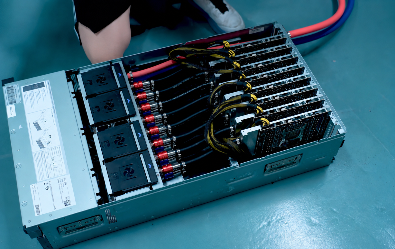 Basic Virtual Server Dedicated Server Hosting vs Shared Hosting for Gaming