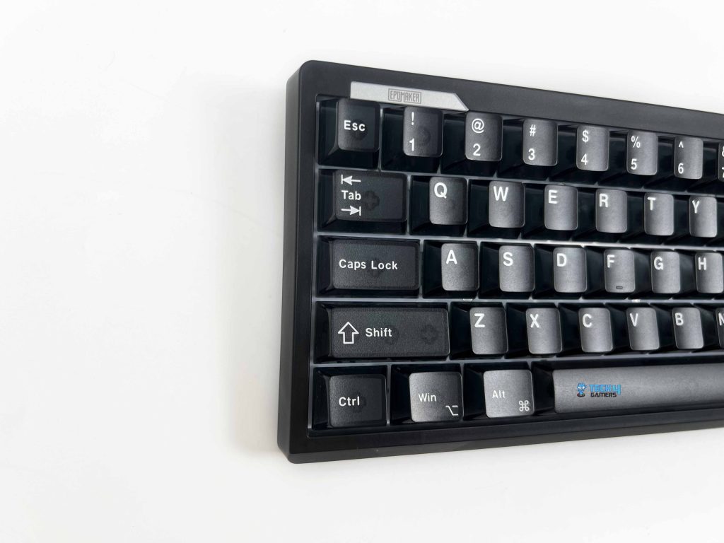 Layout