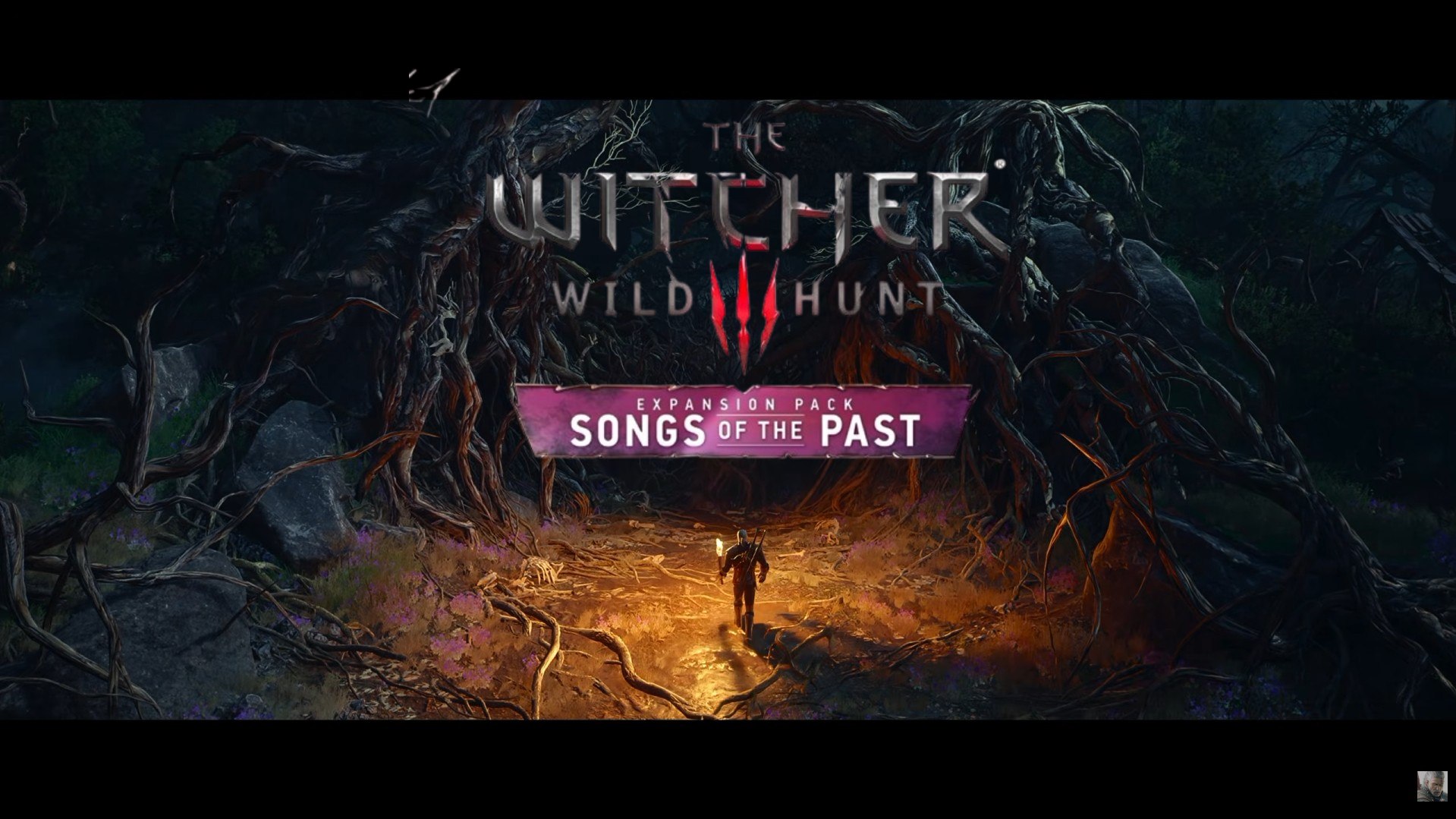 Witcher-3-DLC-1.jpg