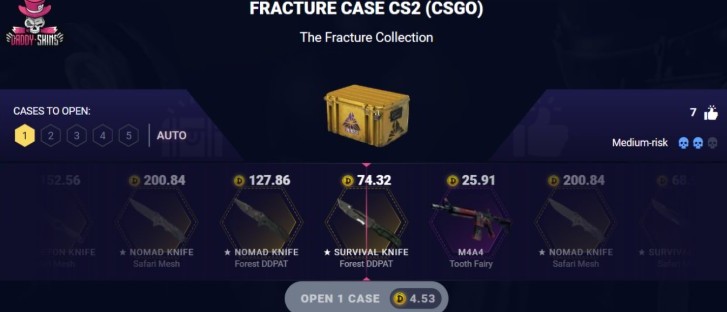 CS2 Fracture Cases