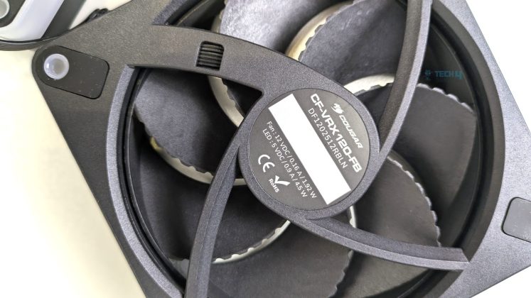 Fans Back Side